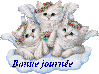 Image hébergée par servimg.com