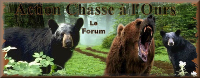 Action Chasse à l'Ours