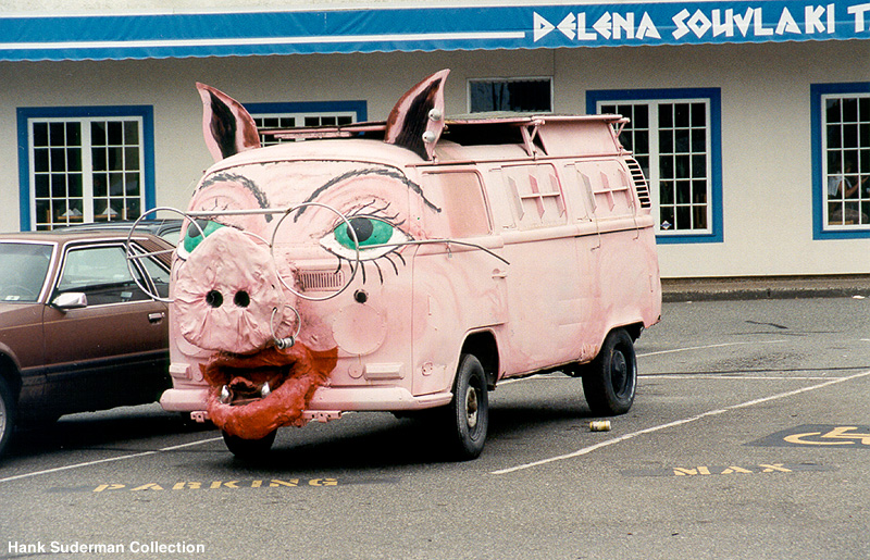 vw_pig10.jpg