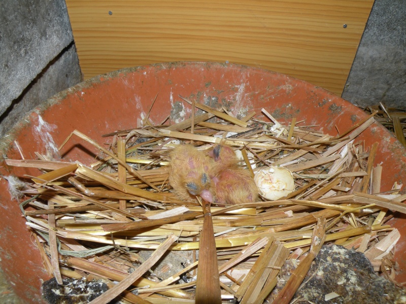 dscn1112.jpg