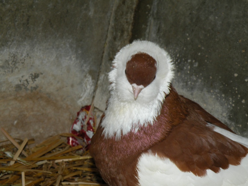 dscn1114.jpg