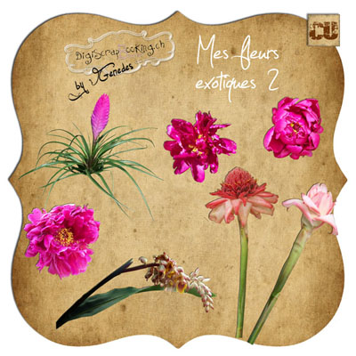 Image hébergée par servimg.com