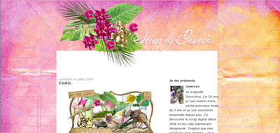 Image hébergée par servimg.com