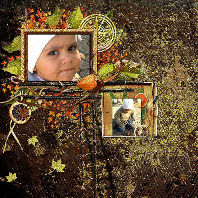 Image hébergée par servimg.com