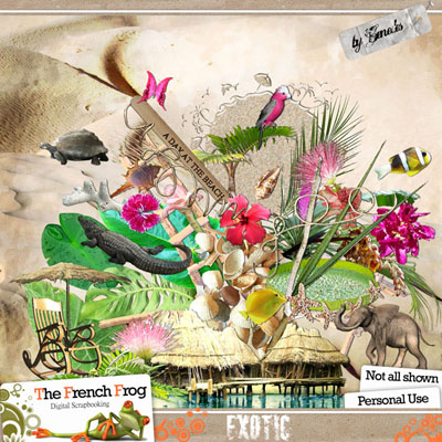 Image hébergée par servimg.com