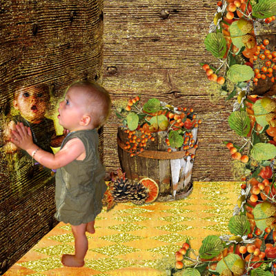 Image hébergée par servimg.com