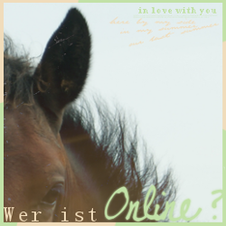Wer ist online?