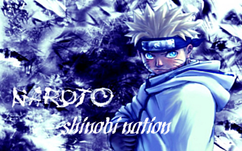 Shinobi Nation