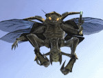Drone Drone