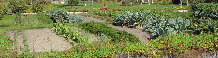 forum frontignan, assemblée générale de l'association des jardins familiaux LA GRAINE