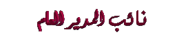 نائب المدير العام نائب المدير العام