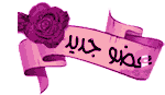 عضو جديد عضو جديد