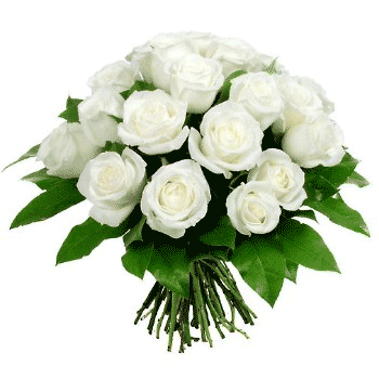 rosas_10.gif