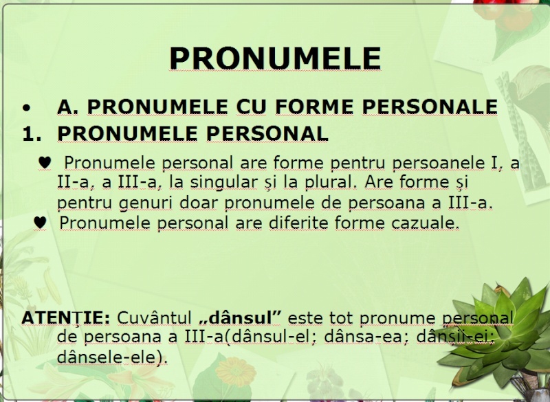 pronum14.jpg
